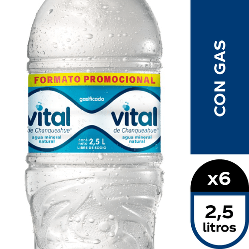 Vital Con Gas 6 x 2,5 lt.