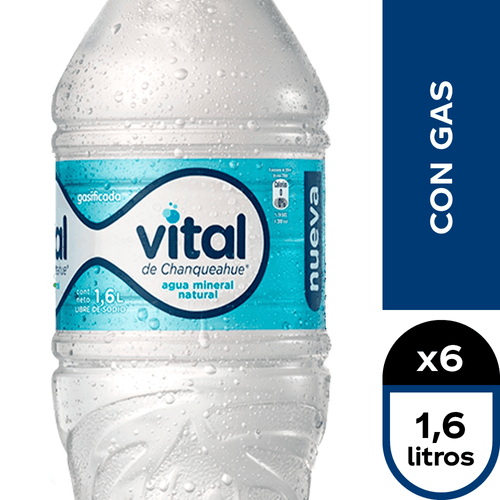Vital Con Gas 6 x 1,6 lt.