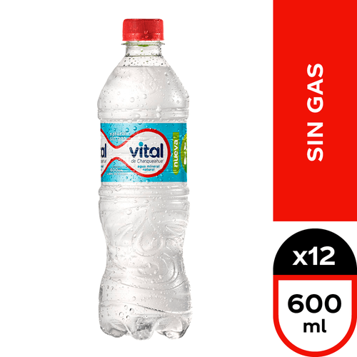 Vital Sin Gas 12 x 600 ml.