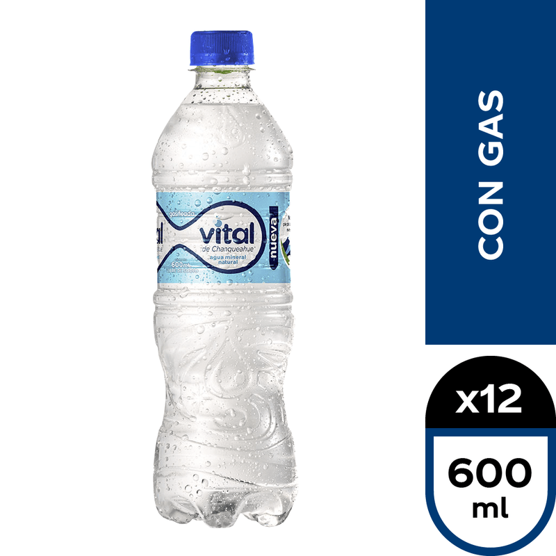 12x Agua Mineral Vital Con Gas Botella 600cc