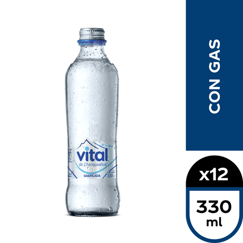 Vital Con Gas 12 x 330 ml.
