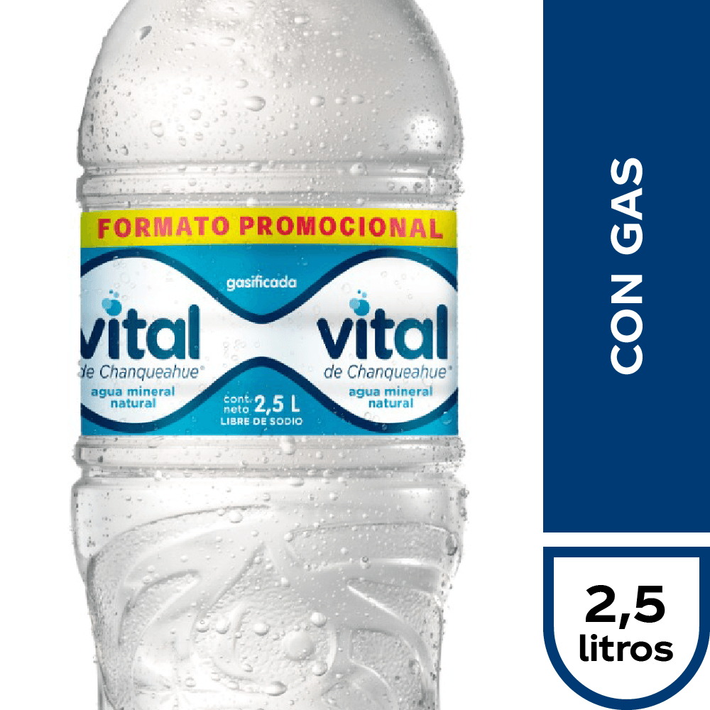 Agua Mineral Vital Gasificada 1.6 L