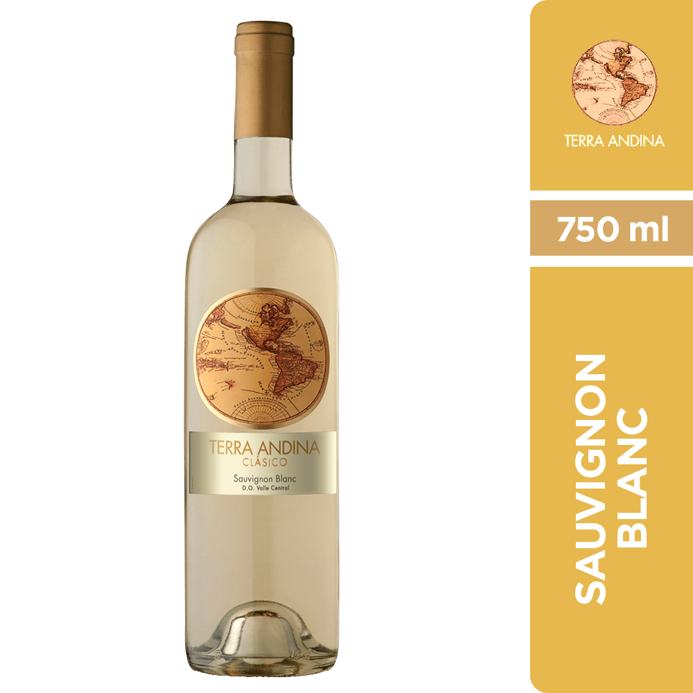 Vino Terra Andina 750 ml. Blanc Sauvignon