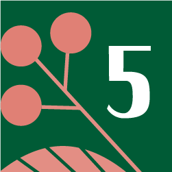 5